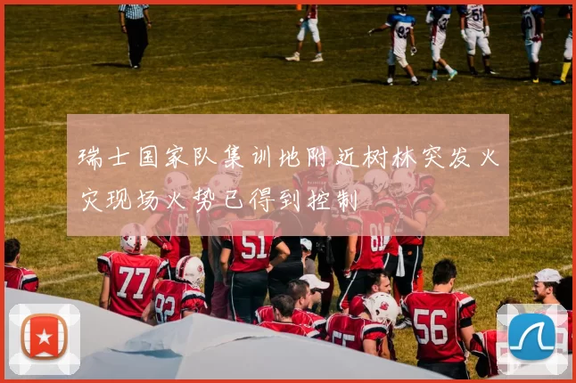 瑞士国家队集训地附近树林突发火灾现场火势已得到控制