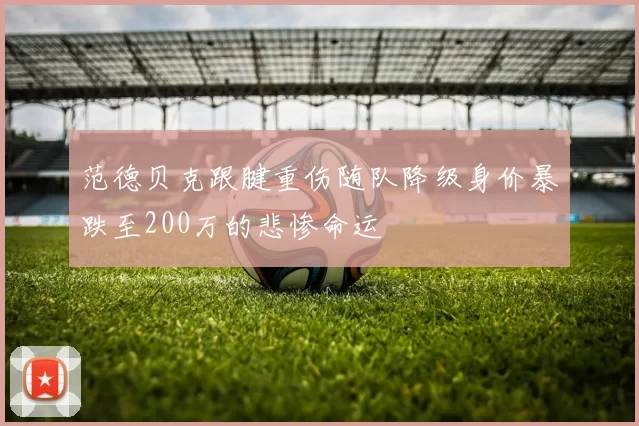 范德贝克跟腱重伤随队降级身价暴跌至200万的悲惨命运